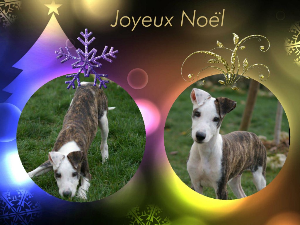 Joyeux Noël