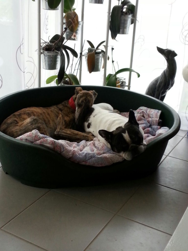 IMG-20151005-WA0000